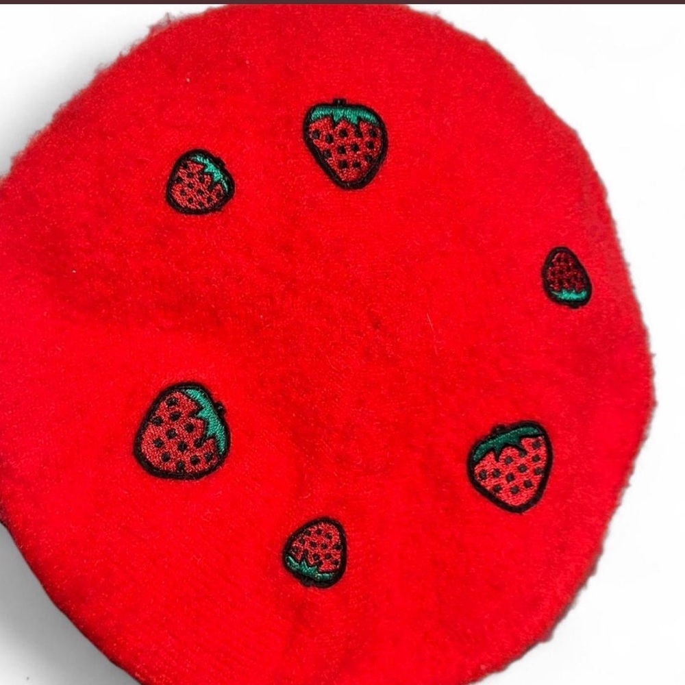 Wild Fable Red Strawberry Embroidered Beret